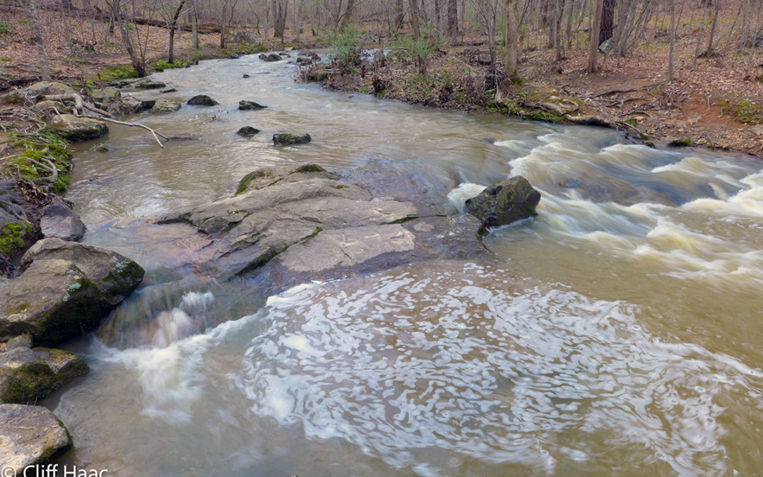 Carrboro Linear Parks Project a Misnomer