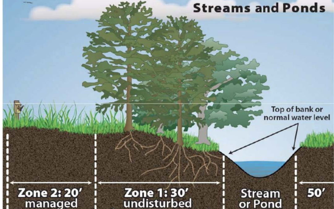 Why a Riparian Buffer?